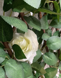 The Expandable White Rose